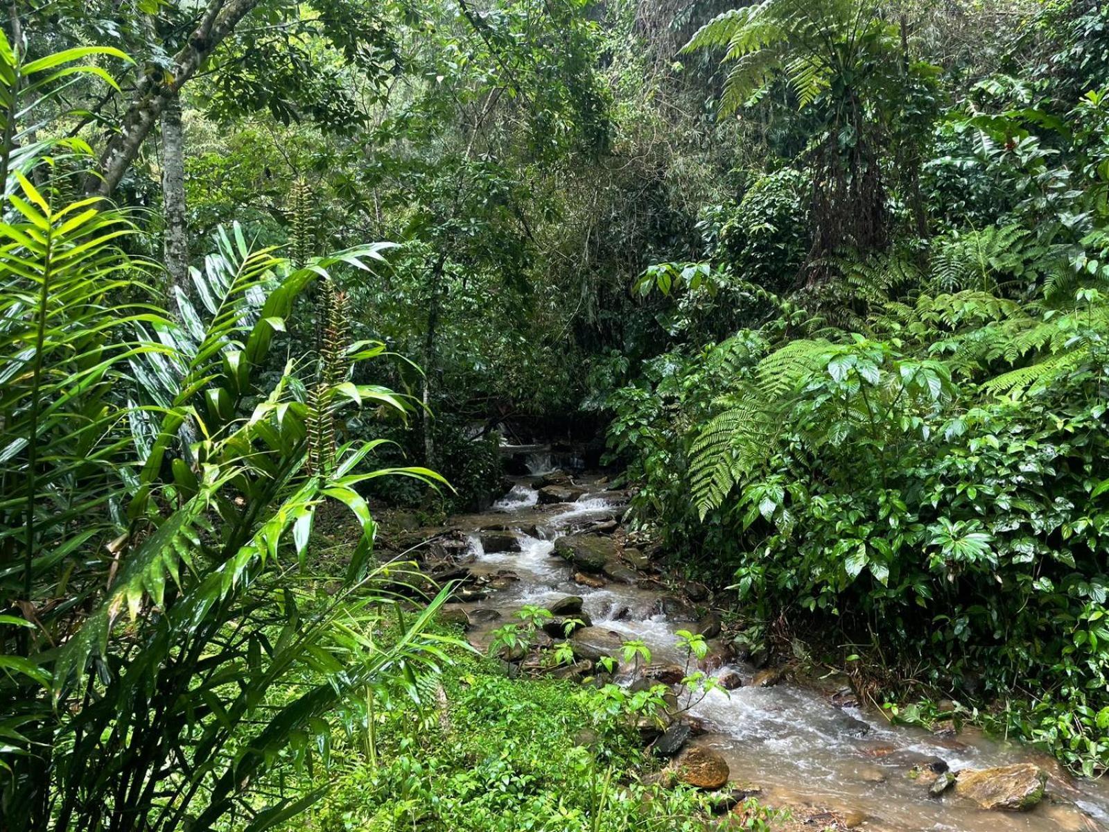 Hadco Experiences At Asa Wright Nature Centre Blanchisseuse Bagian luar foto